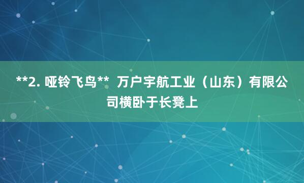 **2. 哑铃飞鸟** 万户宇航工业(山东)有限公司横卧于长凳上