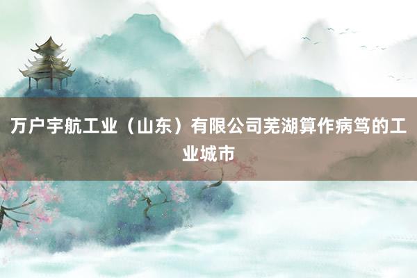 万户宇航工业(山东)有限公司芜湖算作病笃的工业城市