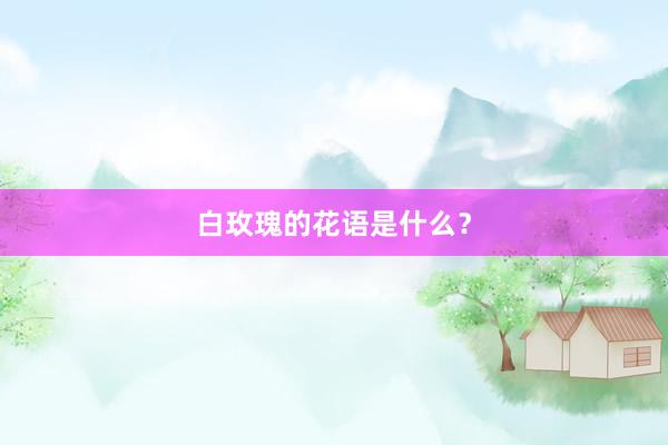 白玫瑰的花语是什么？
