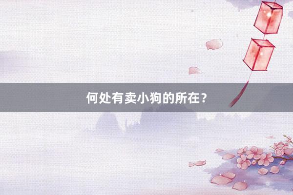 何处有卖小狗的所在？