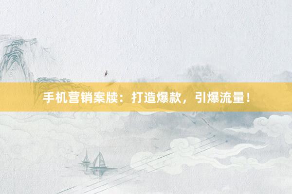 手机营销案牍：打造爆款，引爆流量！